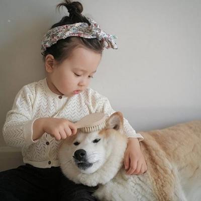 Dị ứng ở chó